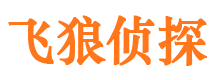 宝应侦探调查公司